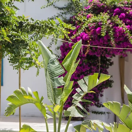 Villa Ca Tauro Denia